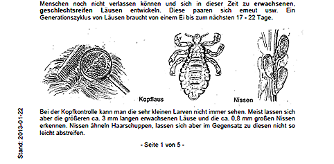 Merkblatt Kopfläuse